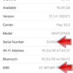 Apple SN Lookup  When Does Your Warranty Expire?