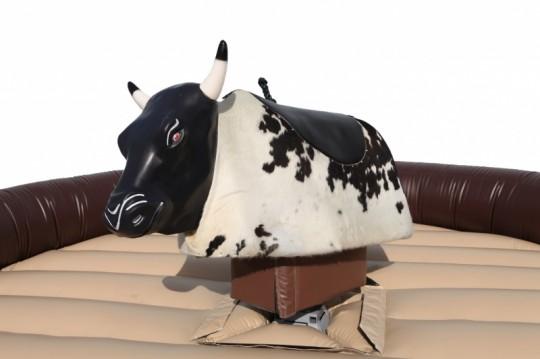 Mechanical Bull Rental Cost  Pricing & What to Expect